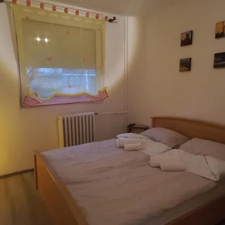 Alisa Dbn Novi Sad