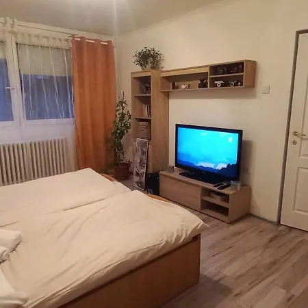 Alisa Dbn Novi Sad